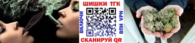 Бошки Шишки семена  Цоци-Юрт 